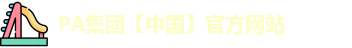PA集团